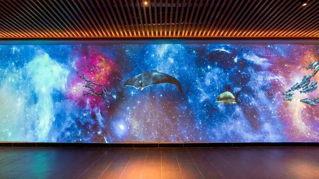 Immersive light zone